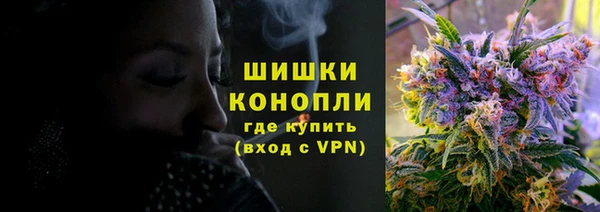 МДПВ Михайлов