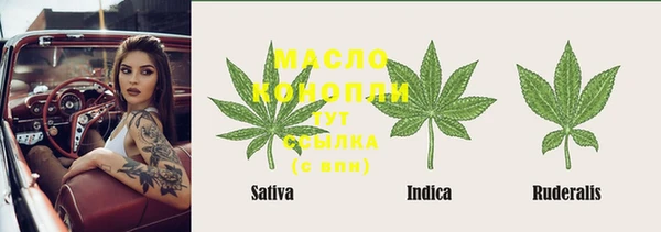 МДПВ Михайлов