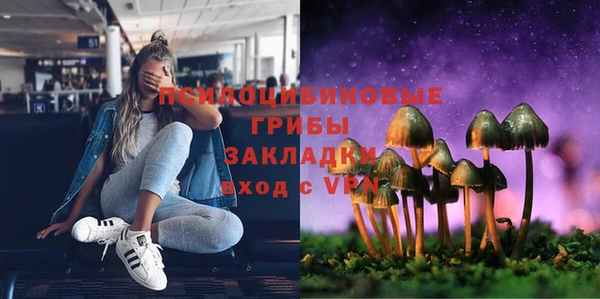 PSILOCYBIN Бородино