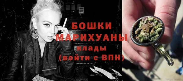 МДПВ Михайлов